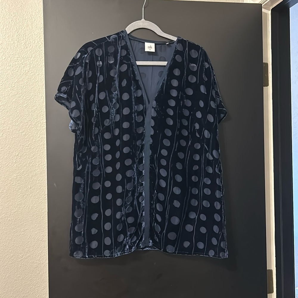 CAbi navy velvet blouse